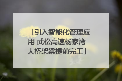 引入智能化管理应用 武松高速杨家湾大桥架梁提前完工
