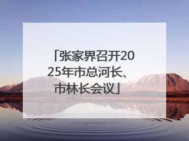 张家界召开2025年市总河长、市林长会议