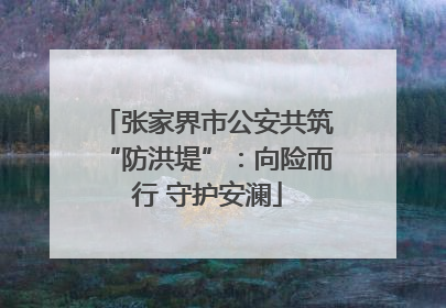 张家界市公安共筑“防洪堤”：向险而行 守护安澜