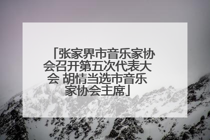 张家界市音乐家协会召开第五次代表大会 胡情当选市音乐家协会主席
