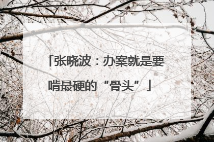 张晓波：办案就是要啃最硬的“骨头”