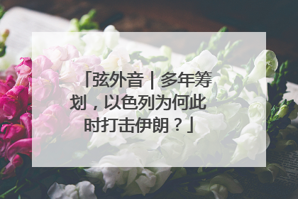 弦外音｜多年筹划，以色列为何此时打击伊朗？