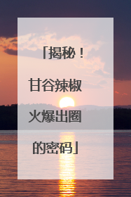 揭秘！甘谷辣椒火爆出圈的密码
