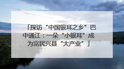 探访“中国银耳之乡”巴中通江：一朵“小银耳”成为富民兴县“大产业”