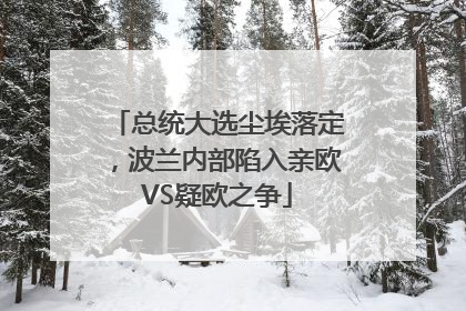 总统大选尘埃落定，波兰内部陷入亲欧VS疑欧之争