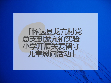 怀远县龙亢村党总支到龙亢镇实验小学开展关爱留守儿童慰问活动