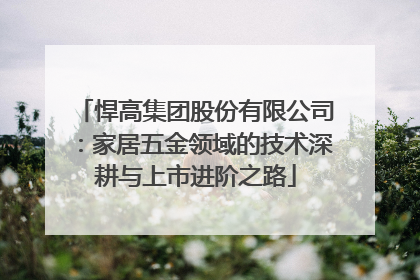 悍高集团股份有限公司：家居五金领域的技术深耕与上市进阶之路