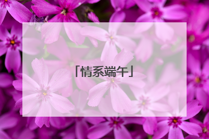 情系端午