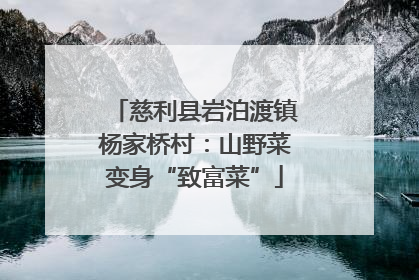 慈利县岩泊渡镇杨家桥村：山野菜变身“致富菜”