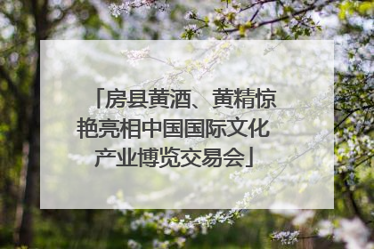 房县黄酒、黄精惊艳亮相中国国际文化产业博览交易会