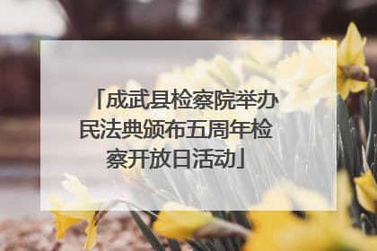成武县检察院举办民法典颁布五周年检察开放日活动