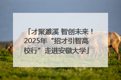 才聚濉溪 智创未来！2025年“招才引智高校行”走进安徽大学