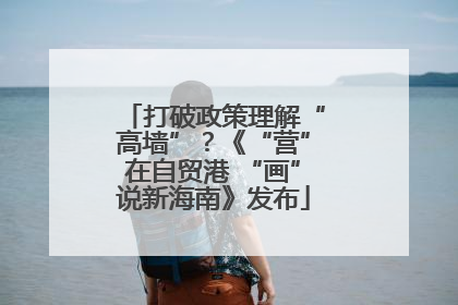 打破政策理解“高墙”？《“营”在自贸港 “画”说新海南》发布