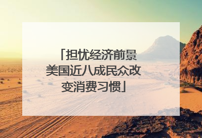 担忧经济前景 美国近八成民众改变消费习惯