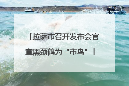 拉萨市召开发布会官宣黑颈鹤为“市鸟”