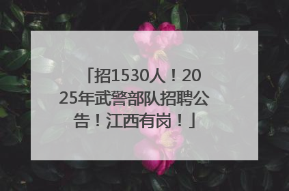 招1530人！2025年武警部队招聘公告！江西有岗！