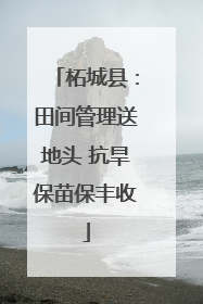 柘城县：田间管理送地头 抗旱保苗保丰收