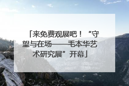 来免费观展吧！“守望与在场——毛本华艺术研究展”开幕