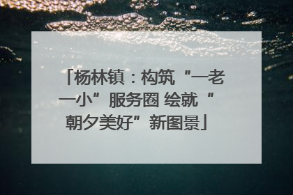 杨林镇：构筑“一老一小”服务圈 绘就“朝夕美好”新图景