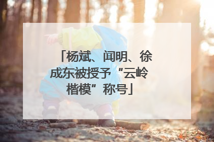 杨斌、闻明、徐成东被授予“云岭楷模”称号