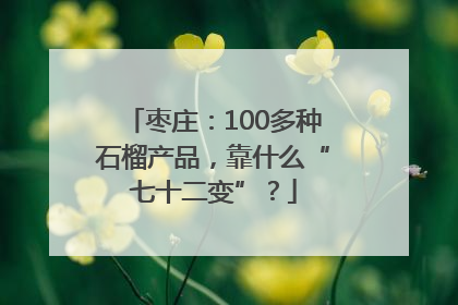 枣庄：100多种石榴产品，靠什么“七十二变”？