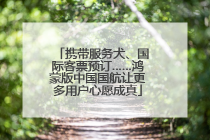 携带服务犬、国际客票预订……鸿蒙版中国国航让更多用户心愿成真