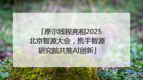 摩尔线程亮相2025北京智源大会，携手智源研究院共推AI创新