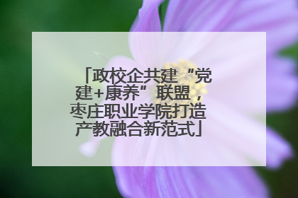 政校企共建“党建+康养”联盟，枣庄职业学院打造产教融合新范式