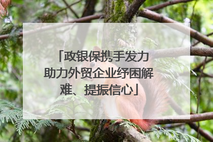 政银保携手发力 助力外贸企业纾困解难、提振信心