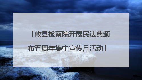 攸县检察院开展民法典颁布五周年集中宣传月活动