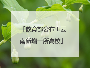 教育部公布！云南新增一所高校
