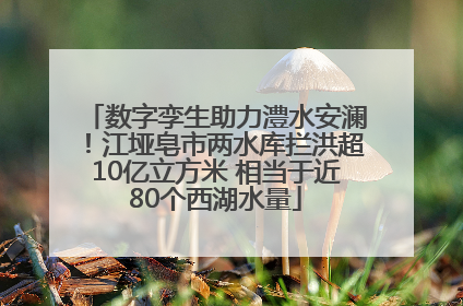 数字孪生助力澧水安澜！江垭皂市两水库拦洪超10亿立方米 相当于近80个西湖水量