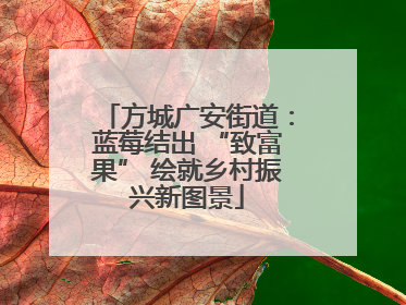 方城广安街道：蓝莓结出 “致富果” 绘就乡村振兴新图景
