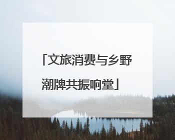 文旅消费与乡野潮牌共振响堂