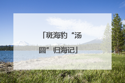斑海豹“汤圆”归海记
