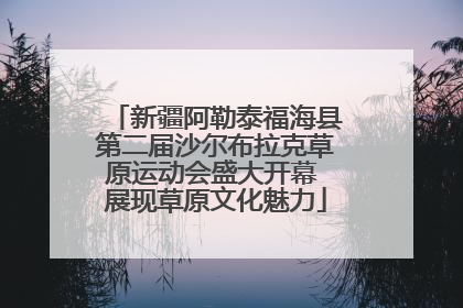 新疆阿勒泰福海县第二届沙尔布拉克草原运动会盛大开幕 展现草原文化魅力