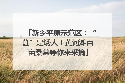 新乡平原示范区：“葚”是诱人！黄河滩百亩桑葚等你来采摘