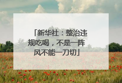 新华社：整治违规吃喝，不是一阵风不能一刀切