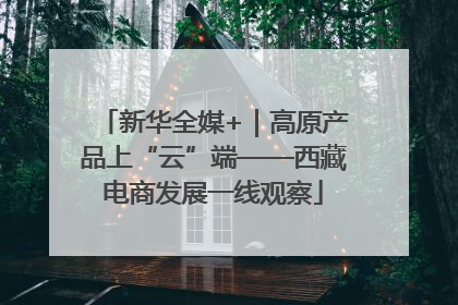 新华全媒+｜高原产品上“云”端——西藏电商发展一线观察