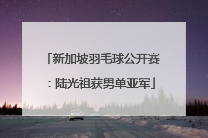 新加坡羽毛球公开赛：陆光祖获男单亚军