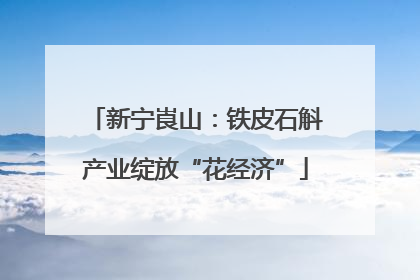 新宁崀山：铁皮石斛产业绽放“花经济”