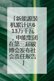 新能源装机累计达613万千瓦，申能集团在第三届碳博会发布社会责任报告