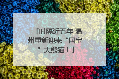 时隔近五年 温州重新迎来“国宝”大熊猫！
