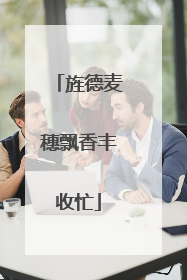 旌德麦穗飘香丰收忙