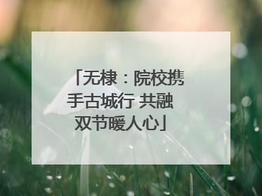 无棣：院校携手古城行 共融双节暖人心