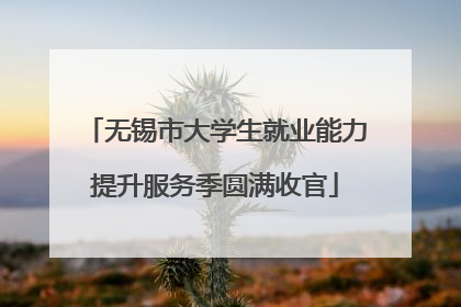 无锡市大学生就业能力提升服务季圆满收官