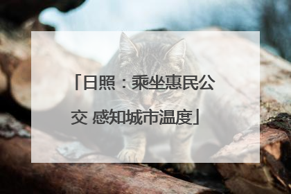 日照：乘坐惠民公交 感知城市温度