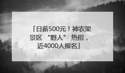 日薪500元！神农架景区 “野人” 热招，近4000人报名