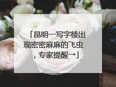 昆明一写字楼出现密密麻麻的飞虫，专家提醒→