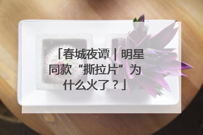 春城夜谭｜明星同款“撕拉片”为什么火了？